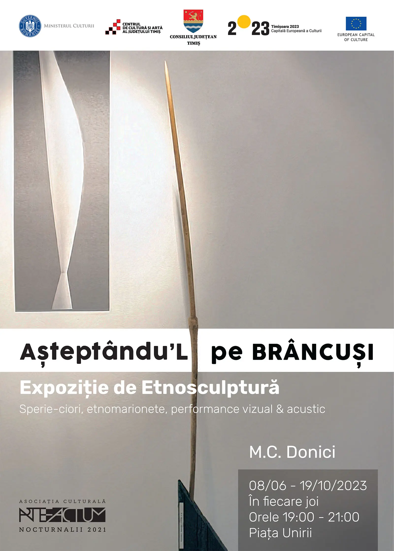 Așteptându-l pe Brâncuși