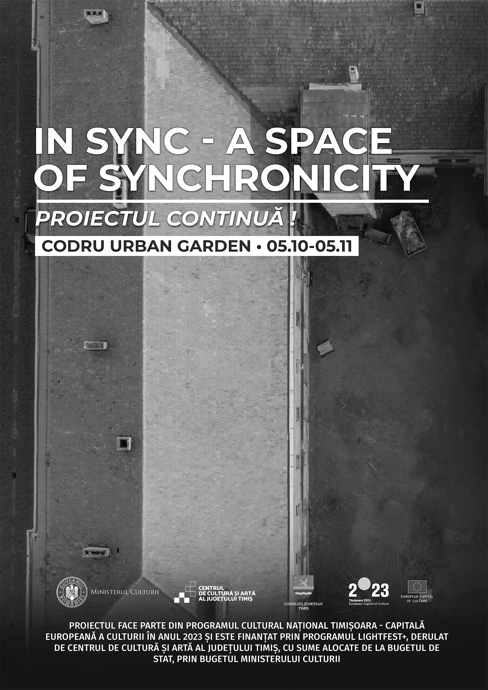 In Sync – A Space of Synchronicity
