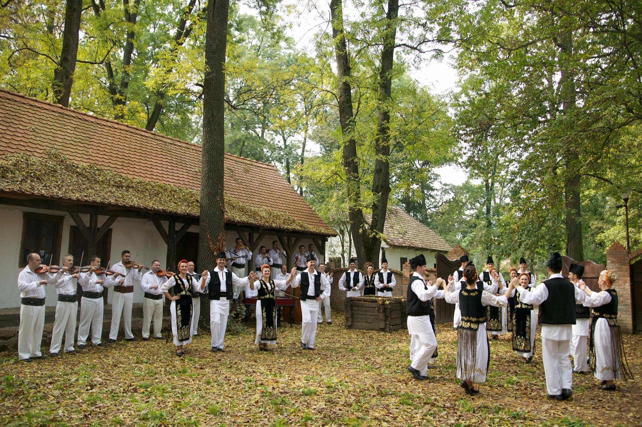 EcoHora – invitație a artiștilor bănățeni la o acțiune pro-mediu