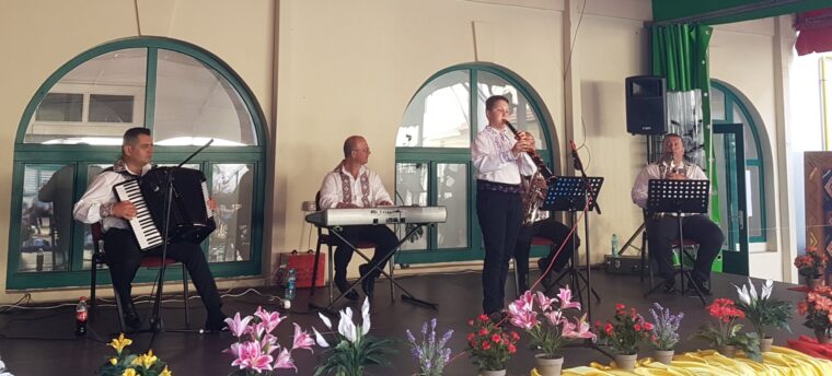 Tabără de creație la Socolari