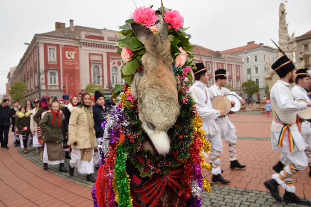 Sute de colindători din județul Timiș sosesc la Timișoara la Alaiul Colindătorilor
